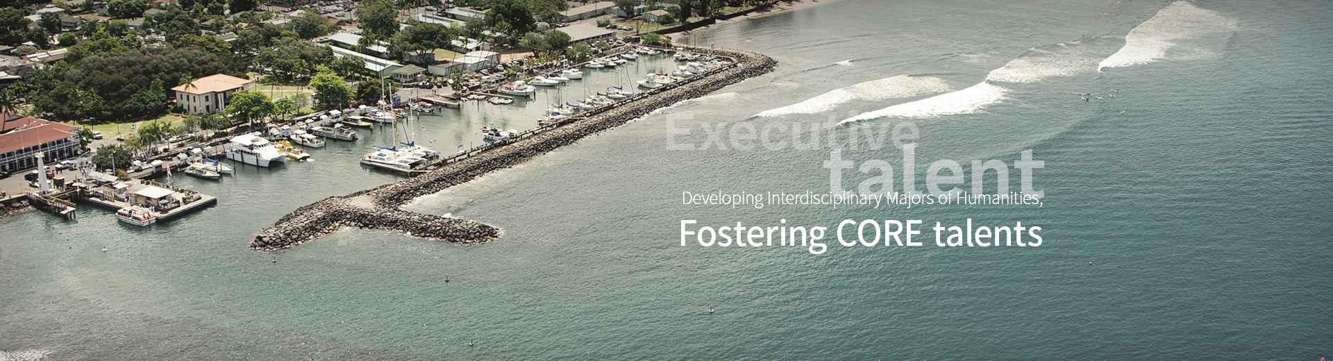 Executive talent